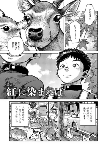 [Shigemaru Shigeru] Manga Shounen Zoom Vol. 18 Fhentai - Page 21