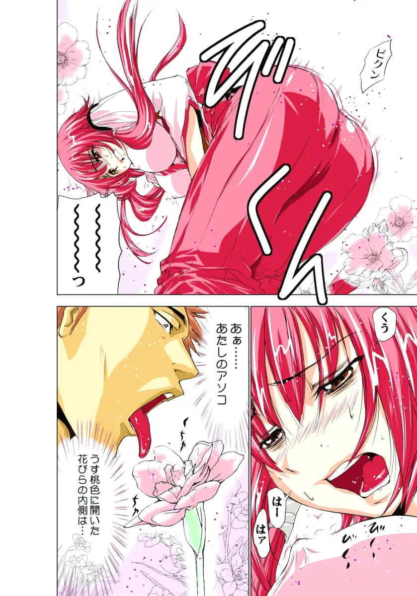 [Aoi Shou] Seikan Reikan Miko Shoujo Mikoman 1 Fhentai - Page 13