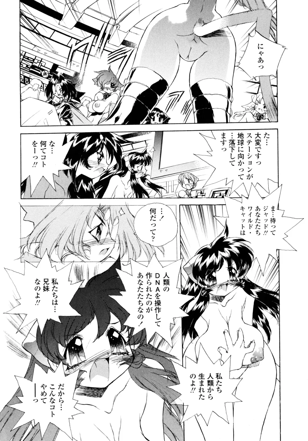 [Hariken Hanna] Wildcat Pirates! Fhentai - Page 162