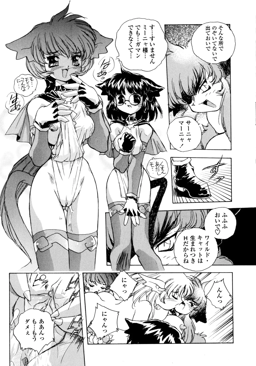 [Hariken Hanna] Wildcat Pirates! Fhentai - Page 30