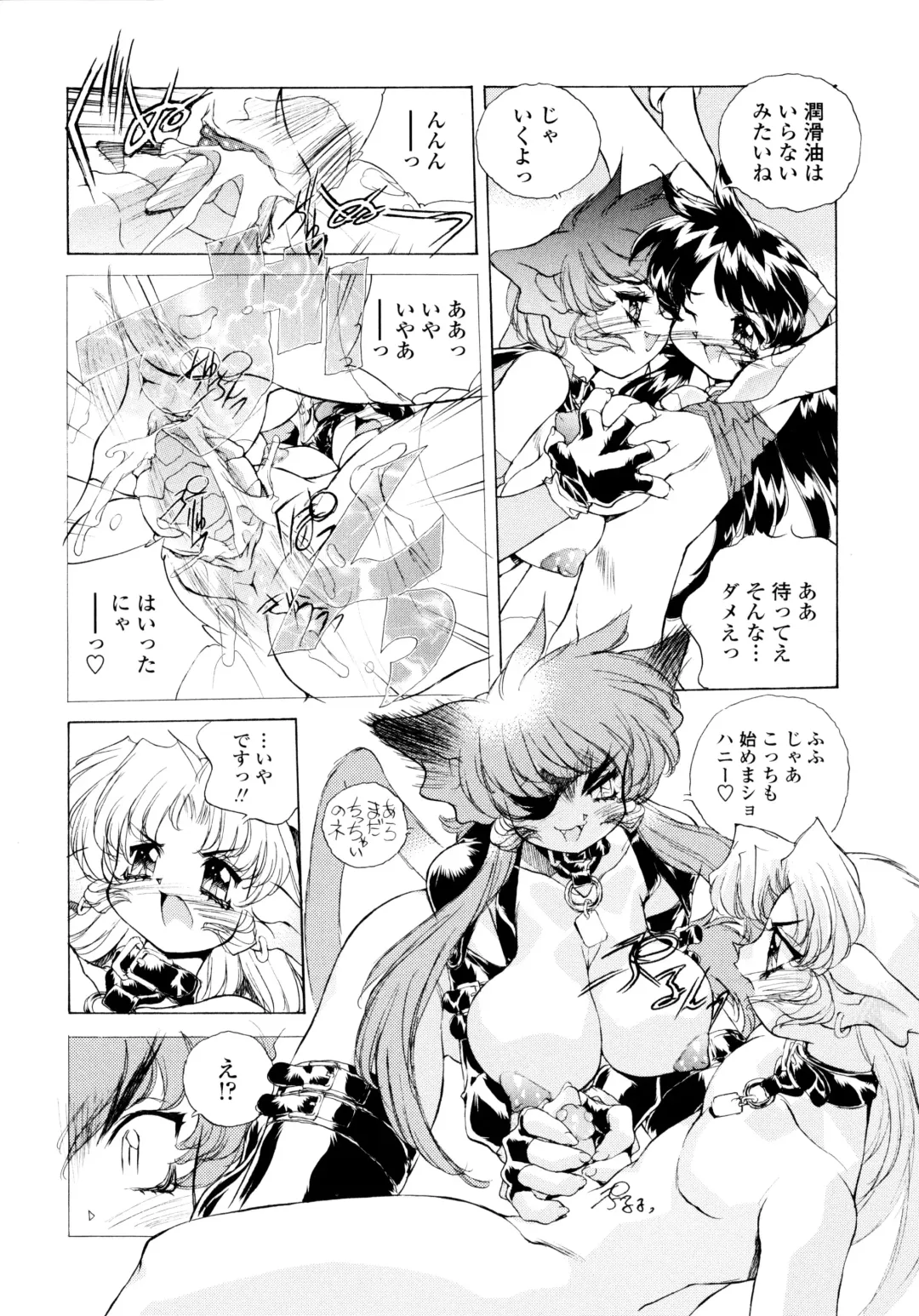 [Hariken Hanna] Wildcat Pirates! Fhentai - Page 57