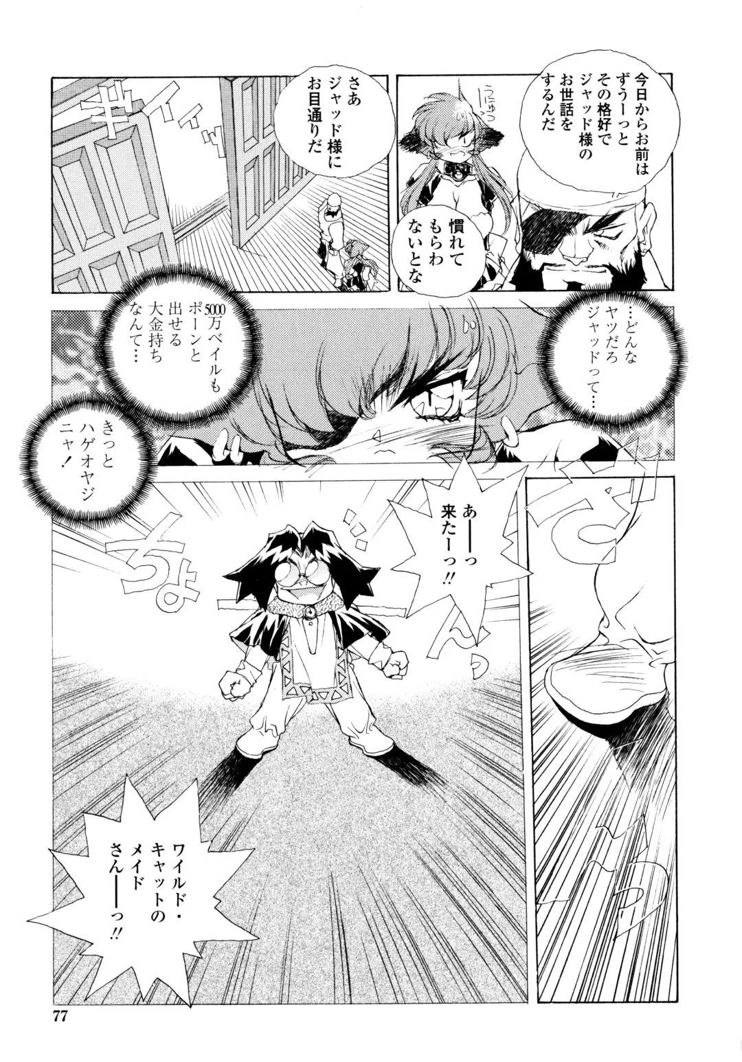 [Hariken Hanna] Wildcat Pirates! Fhentai - Page 76