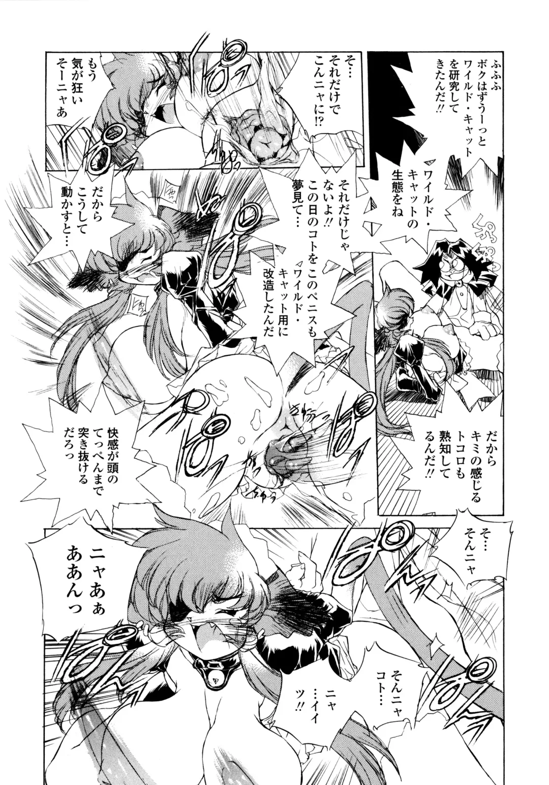 [Hariken Hanna] Wildcat Pirates! Fhentai - Page 83