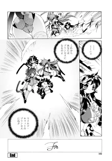 [Hariken Hanna] Wildcat Pirates! Fhentai - Page 180