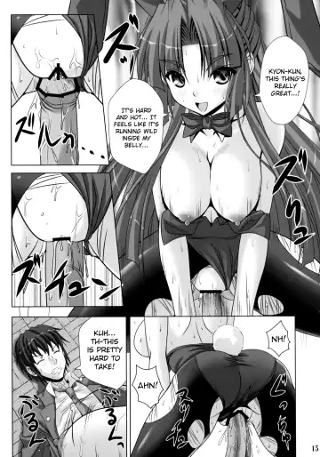 [Noritama] Bunny Blue Fhentai - Page 14