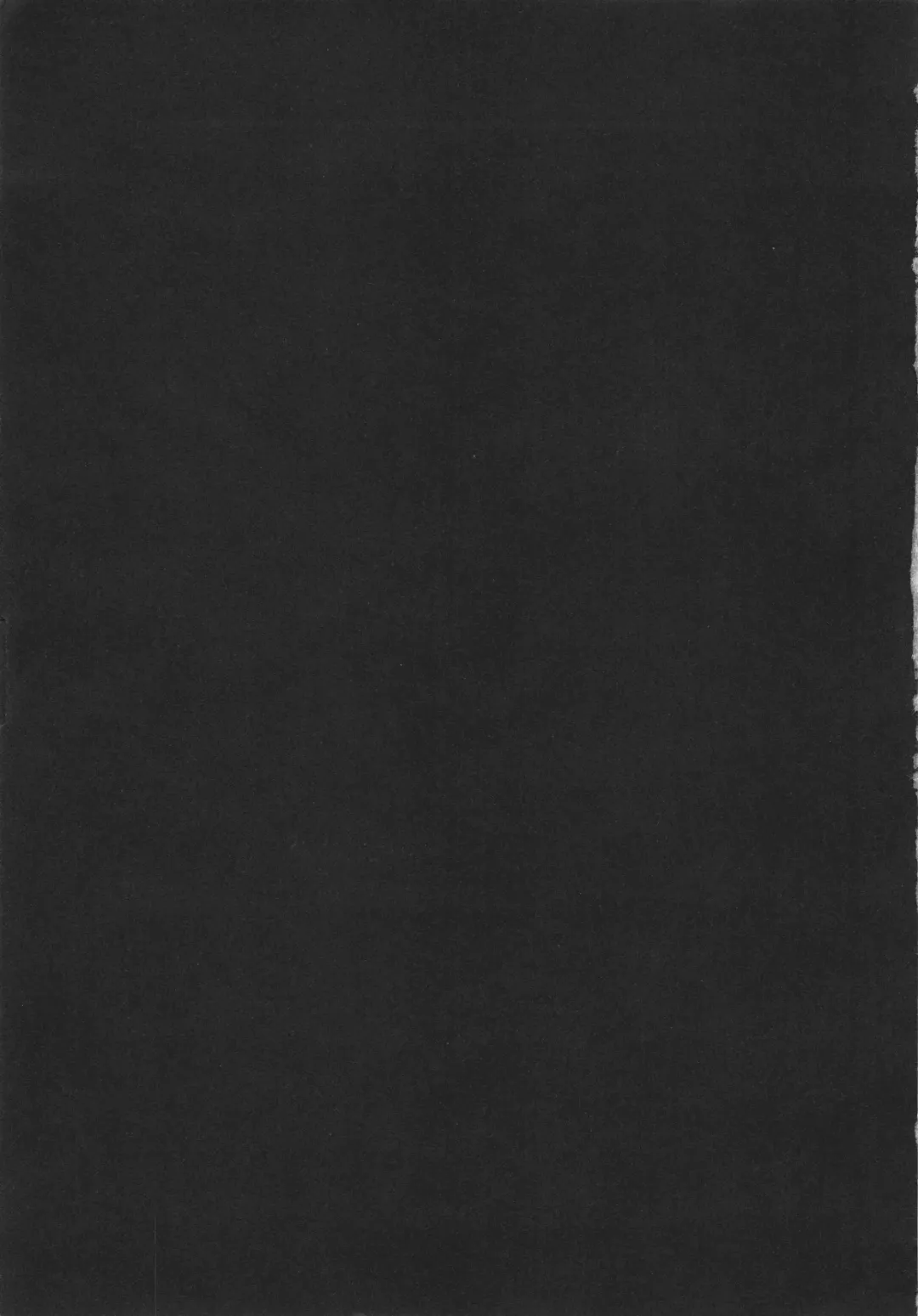 [Ninomiya Ryouzou] Junketsu Maniac Seijo Fhentai - Page 200