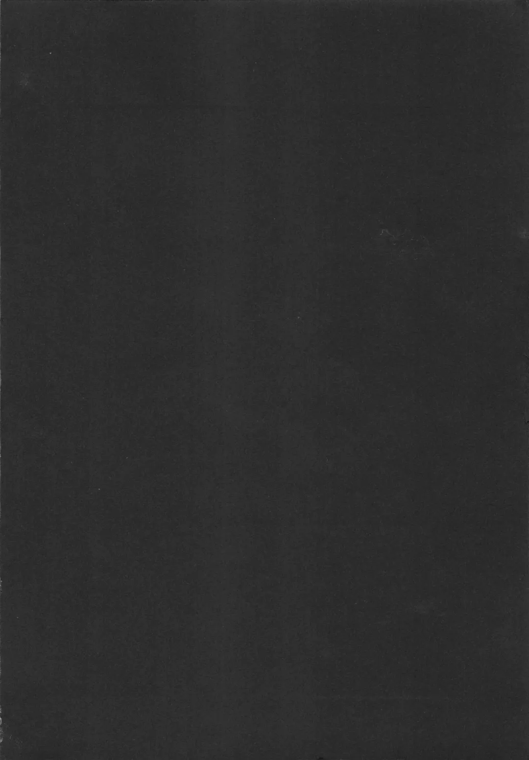 [Ninomiya Ryouzou] Junketsu Maniac Seijo Fhentai - Page 201