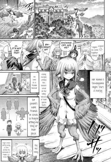 [Horitomo] Harpy no Manabiya ~Kashimashi Class~ | Harpy School ~Noisy Class~ Fhentai - Page 3