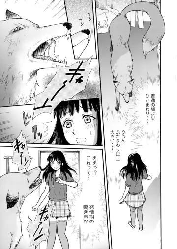 Kemono DIRECT Fhentai - Page 48