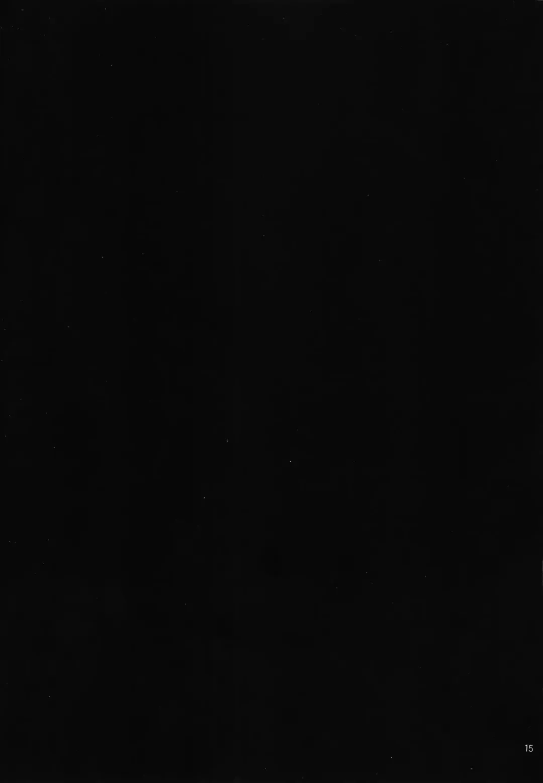 [Oujano Kaze] Mamono Hunter Inmu no Shou Fhentai - Page 16