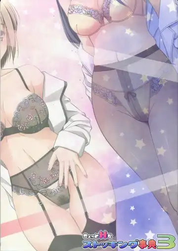 [Hiyoko Daiou - Kohinata Ryou] Chotto H na Stocking Jiten 3 Fhentai - Page 18