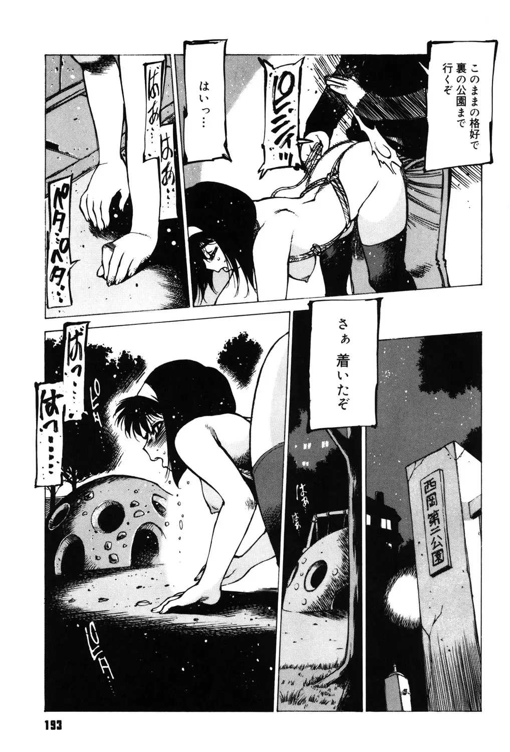 [Nishi Iori] Omocha Hime Fhentai - Page 192