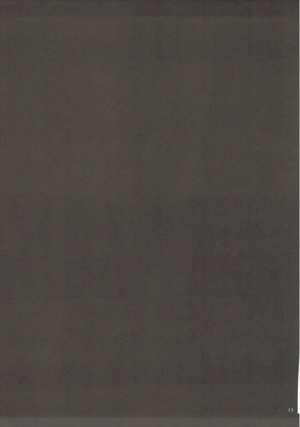 [Oujano Kaze] Kudelia Sensei ga Shite ageru Fhentai - Page 14