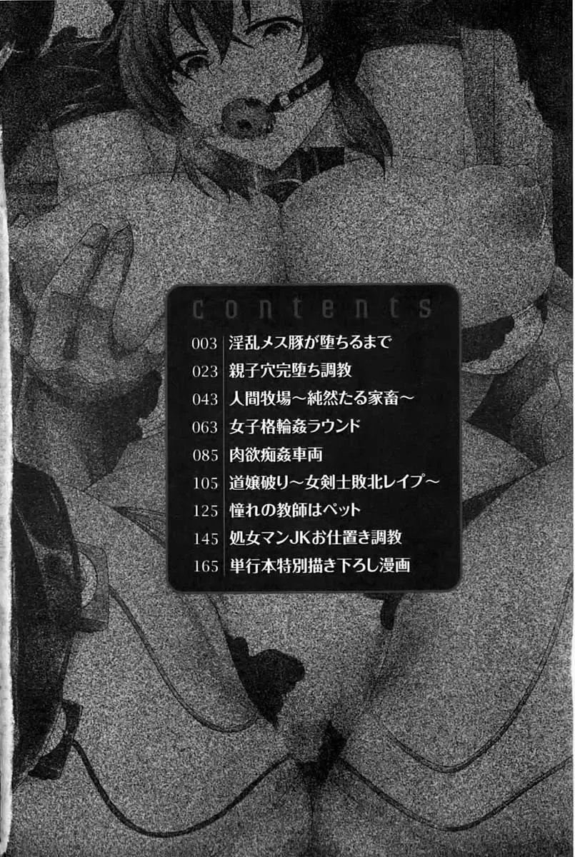 [Kinntarou] Rinkan Glamorous Fhentai - Page 3