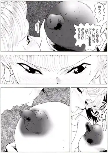 CORRUPT&ROTTEN Cutey Liddy no Funiku no Andouille "Sono ichi" Fhentai - Page 33