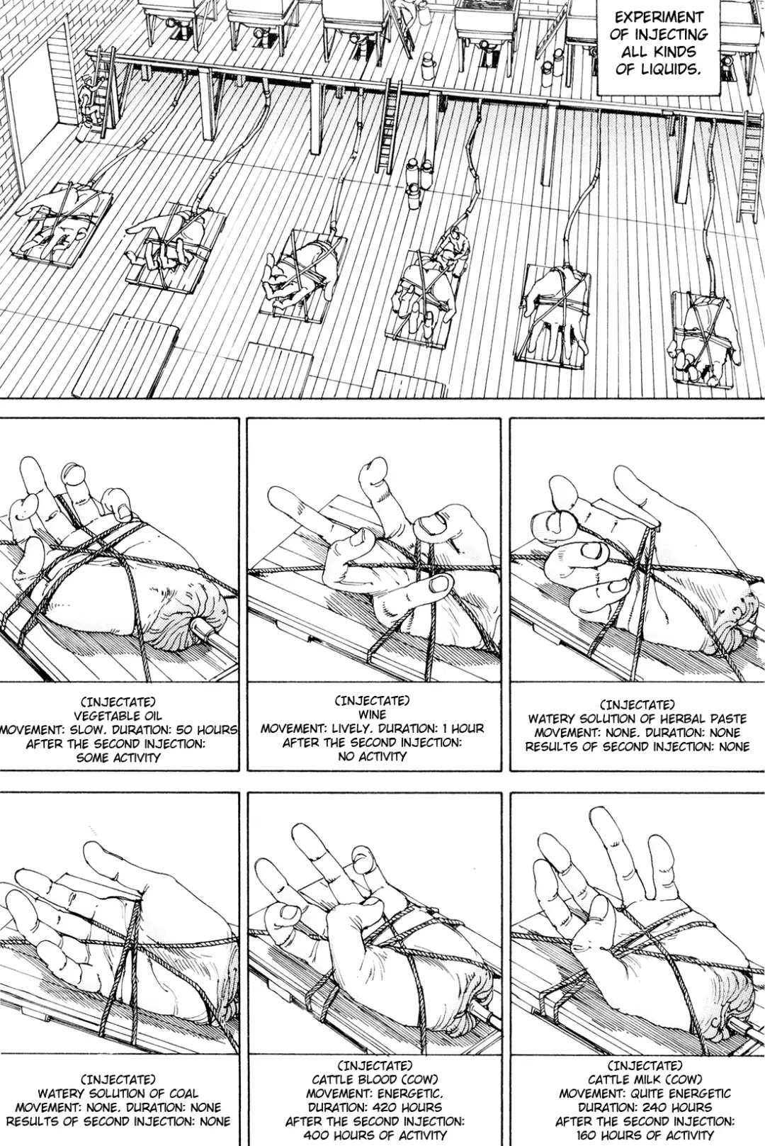 [Kago Shintarou] Chou Douryoku Mouko Daishuurai - The Ultra Power Mongol Invasion | Super Powered Mongolia Invasion Fhentai - Page 80