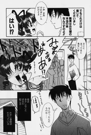 [Nekogen] Nisemon Fhentai - Page 29