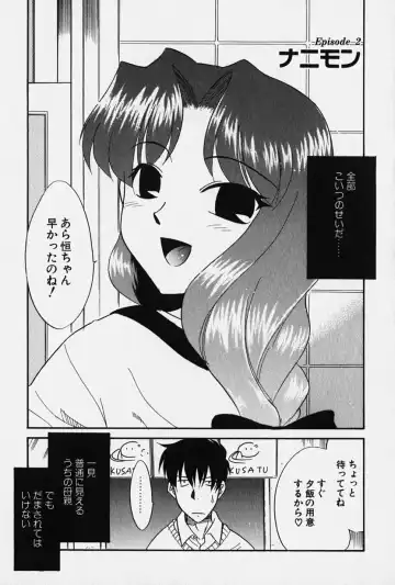[Nekogen] Nisemon Fhentai - Page 30