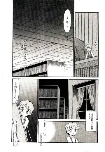 [Nekogen] Toshokan no Yousei Fhentai - Page 21
