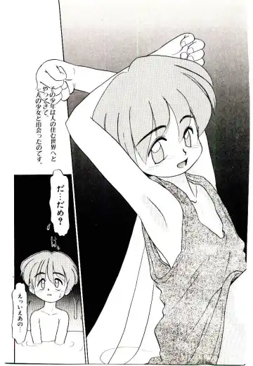 [Nekogen] Toshokan no Yousei Fhentai - Page 45