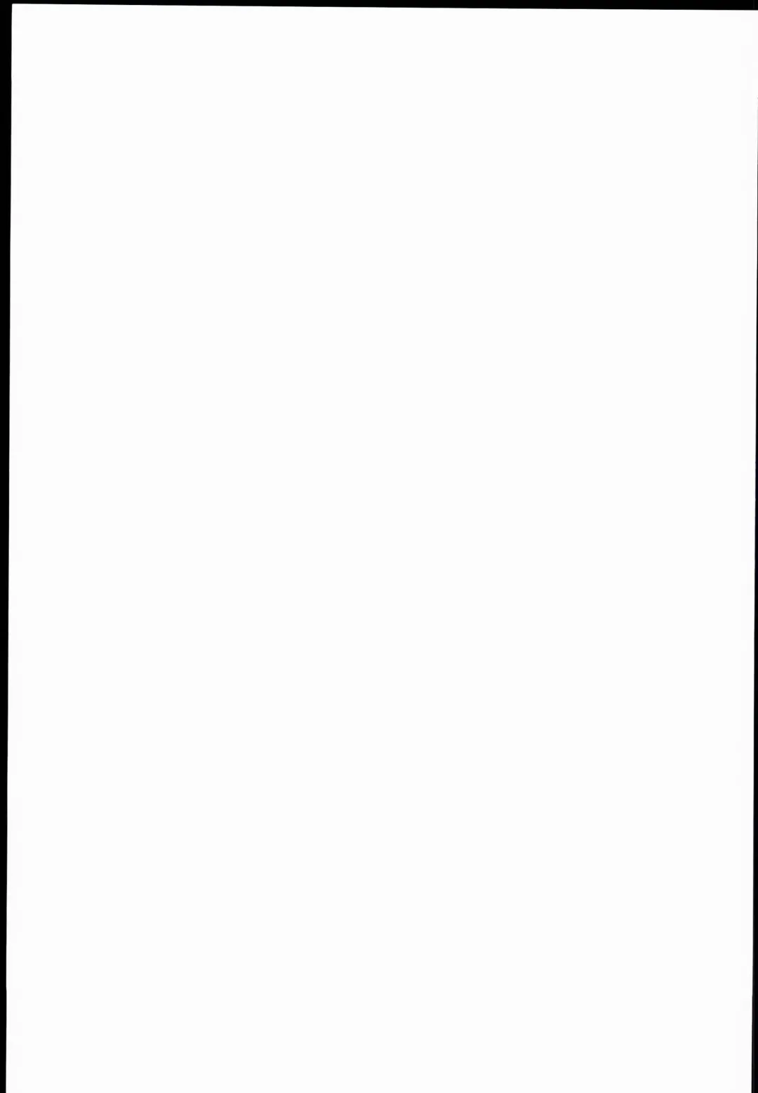 [Mizuryu Kei] Oideyo! Mizuryu Kei Land the 3rd Day Fhentai - Page 43