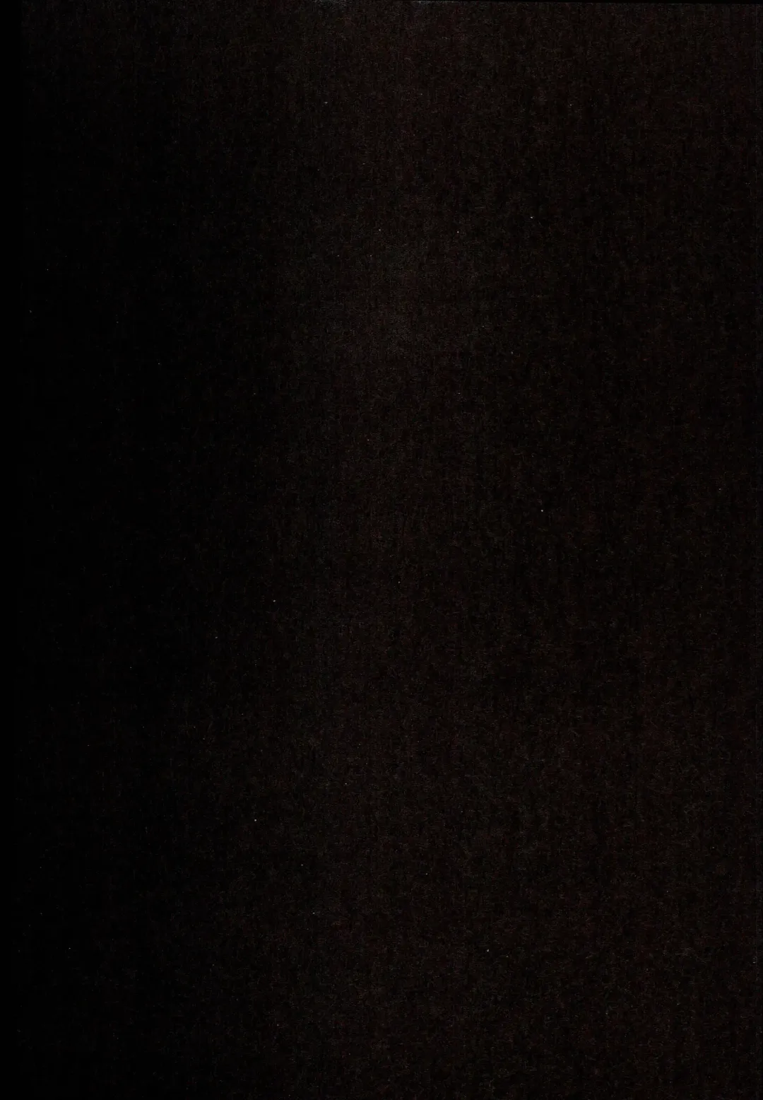 [Pri] Shota Teitoku ga Ro-chan to Libeccio-chan ni Seiteki ni Ijimerareru Hon Fhentai - Page 21