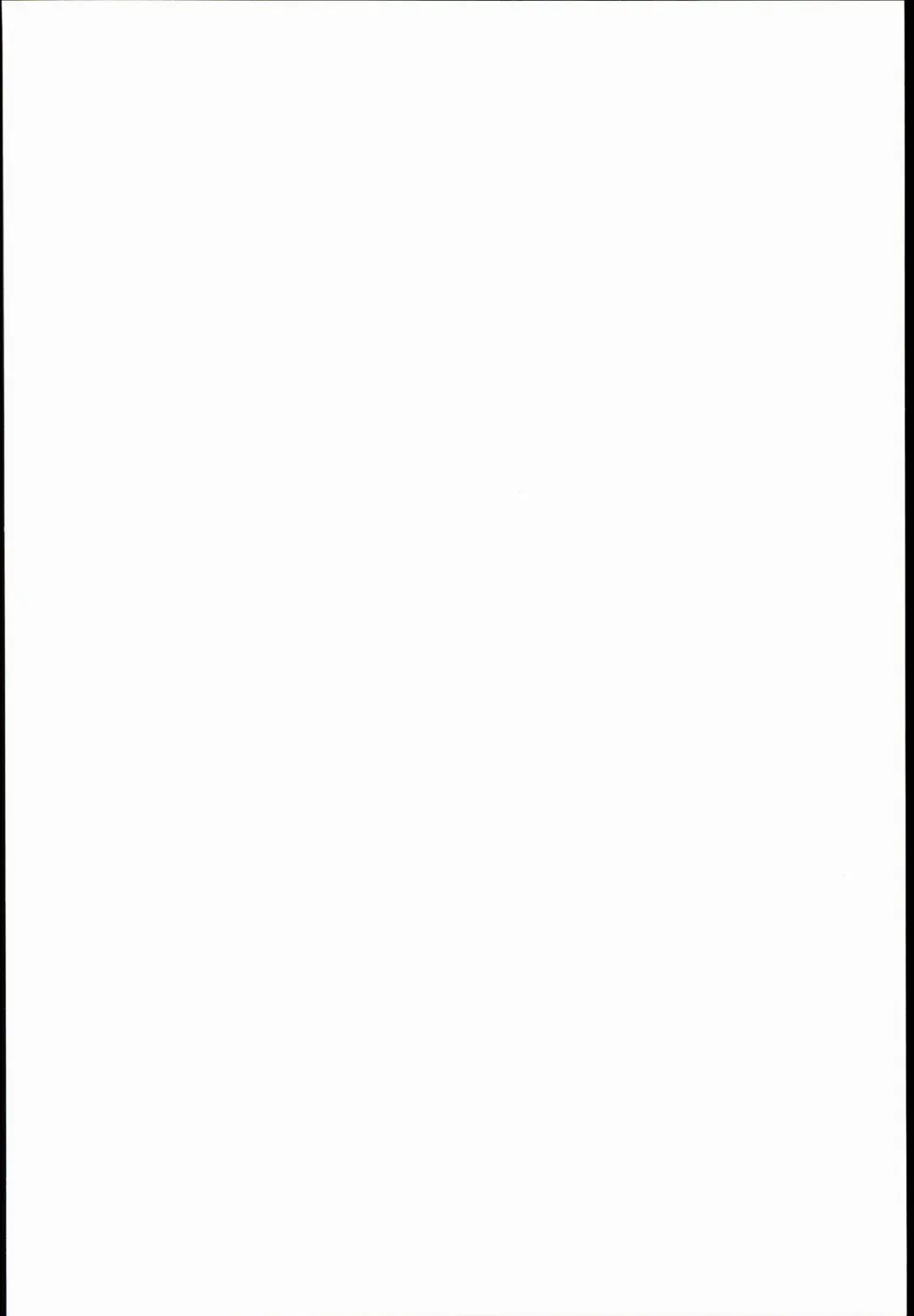 [Cyocyo] Isekai Princess Fhentai - Page 2