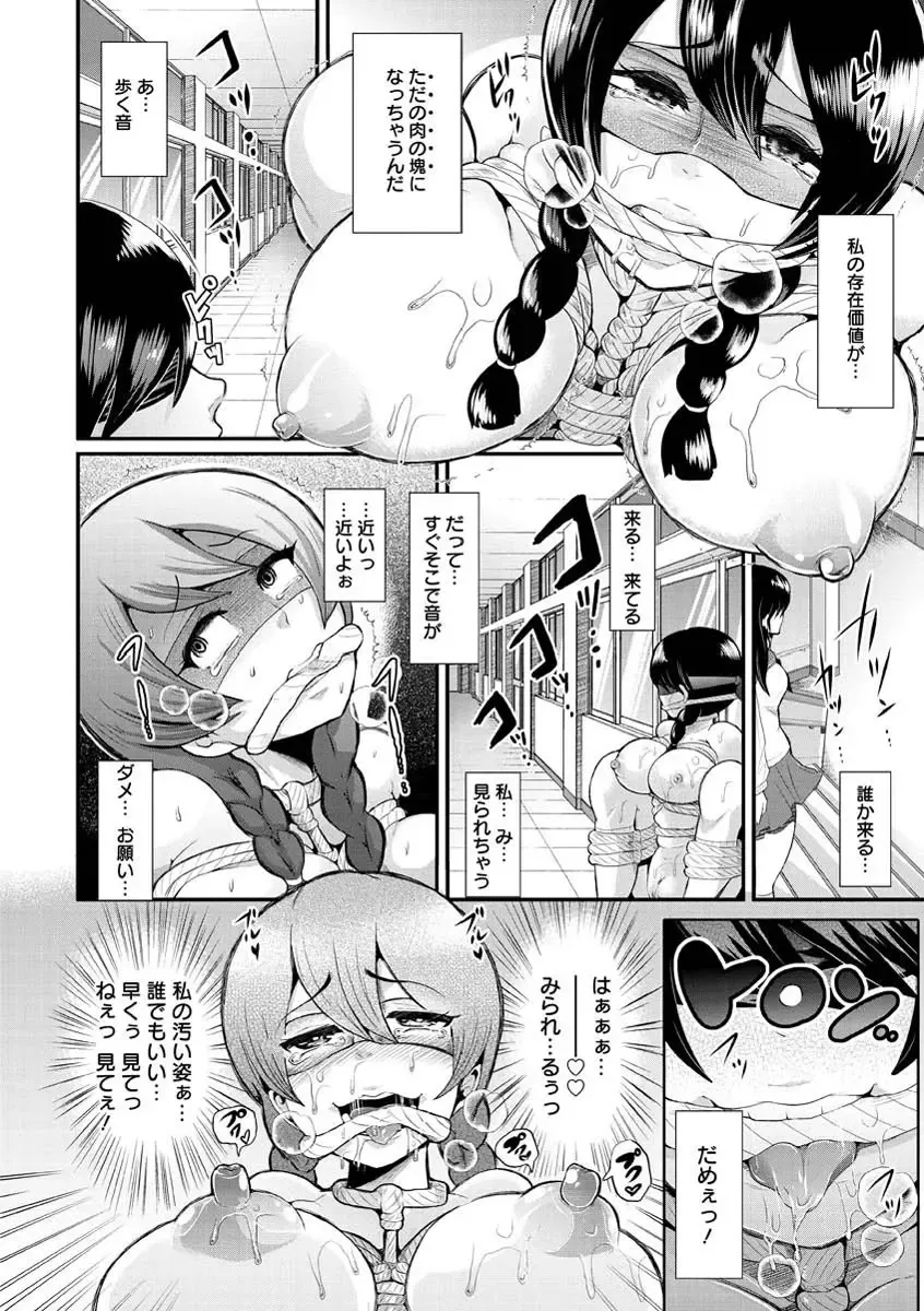 [Shomu] Higyaku to Kousoku Fhentai - Page 18