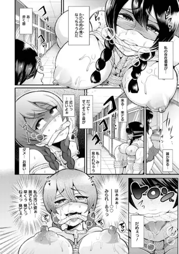 [Shomu] Higyaku to Kousoku Fhentai - Page 18