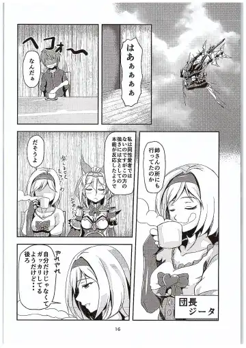 [Hakomaru] Inran Detonation Fhentai - Page 15