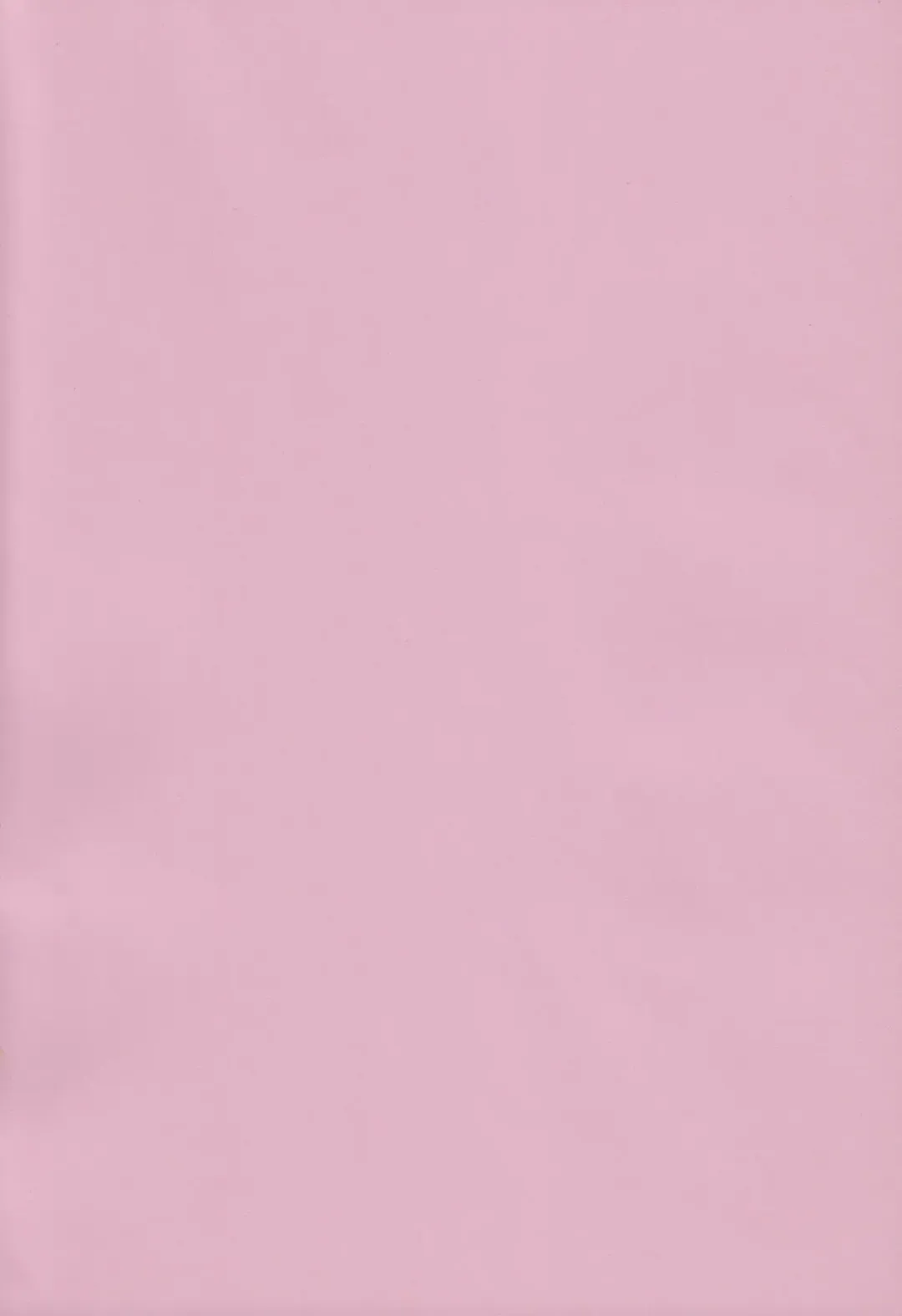 [Adachi Himiko - Amin] Peach Boys Fhentai - Page 2