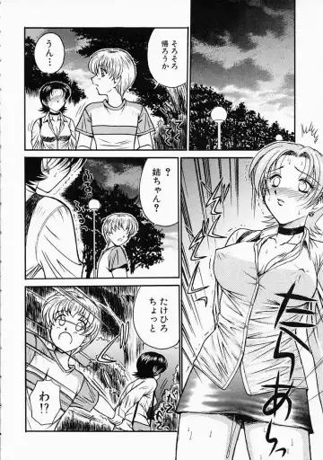 [Tower] Ane ni wa Zettai Kanawanai Fhentai - Page 94