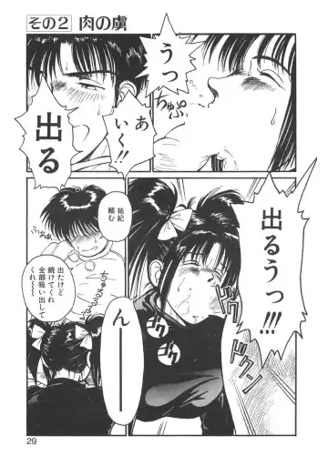 [Miyaji Kaneyuki] Imouto wa Maniac Fhentai - Page 29