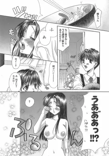 [Toumei Mieru] Kinkan Imouto Moe Fhentai - Page 133