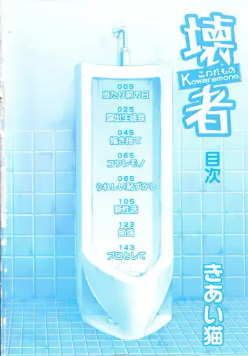 [Kiai Neko] Kowaremono Fhentai - Page 5