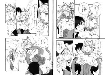 [Kobayashi Shounenmaru] Pet Catalogue - Flesh Slave Catalog Fhentai - Page 24