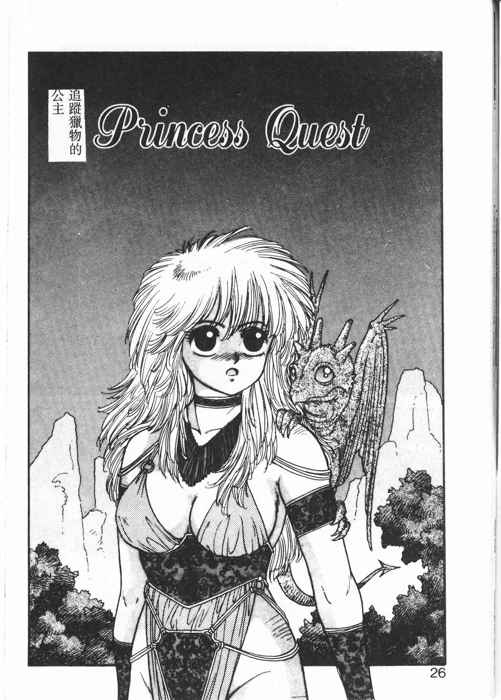 [Yui Toshiki] Princess Quest Saga Fhentai - Page 23