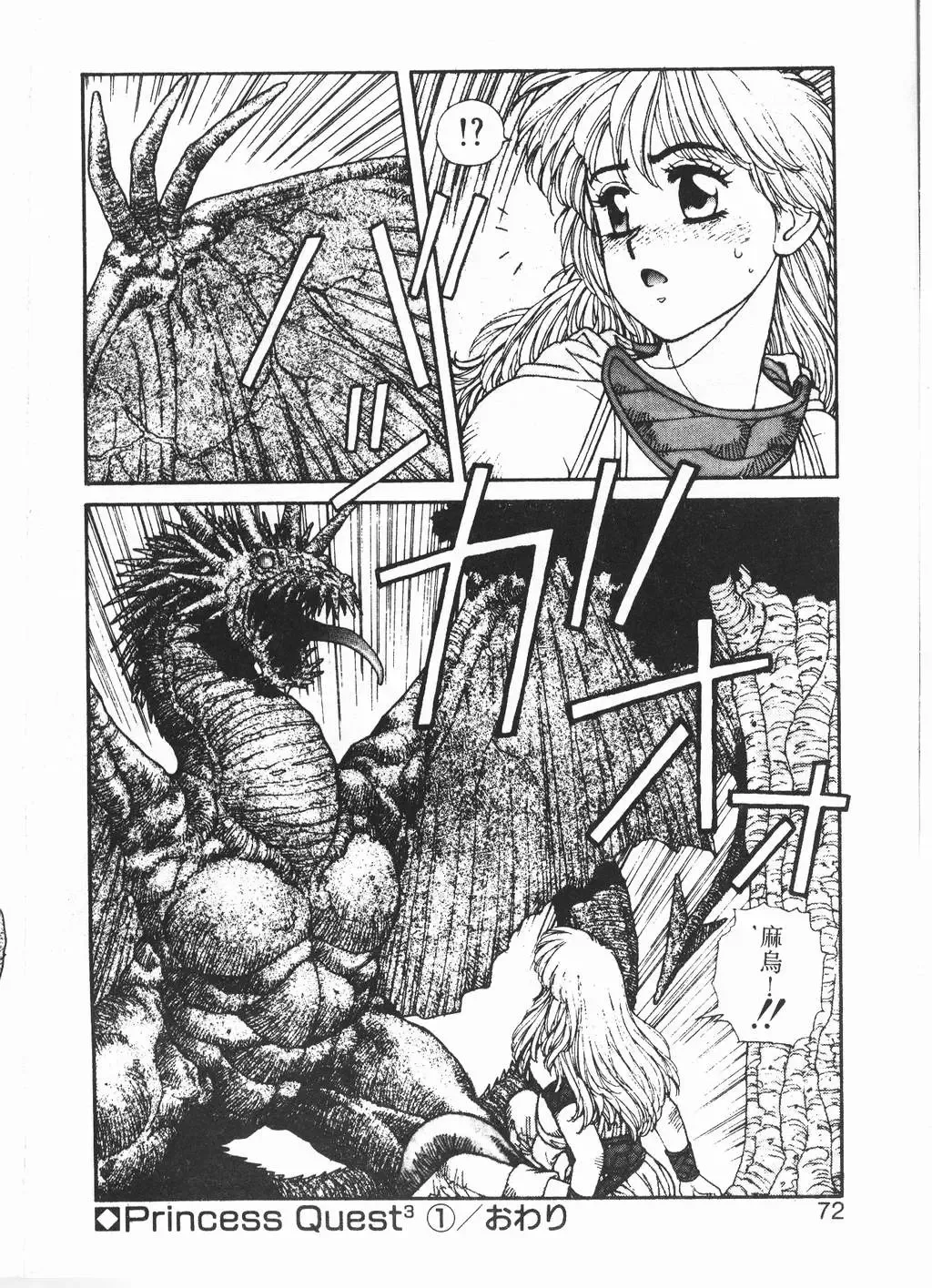 [Yui Toshiki] Princess Quest Saga Fhentai - Page 69