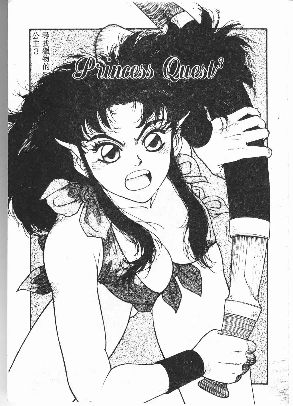 [Yui Toshiki] Princess Quest Saga Fhentai - Page 86