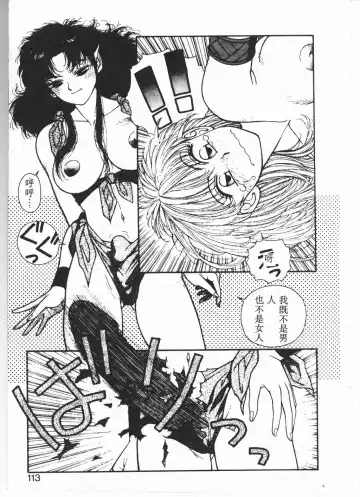 [Yui Toshiki] Princess Quest Saga Fhentai - Page 110