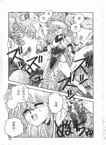 [Yui Toshiki] Princess Quest Saga Fhentai - Page 32