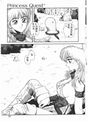 [Yui Toshiki] Princess Quest Saga Fhentai - Page 64