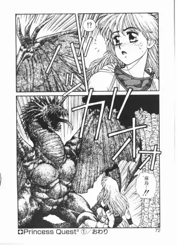 [Yui Toshiki] Princess Quest Saga Fhentai - Page 69