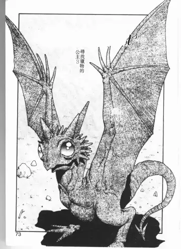 [Yui Toshiki] Princess Quest Saga Fhentai - Page 70