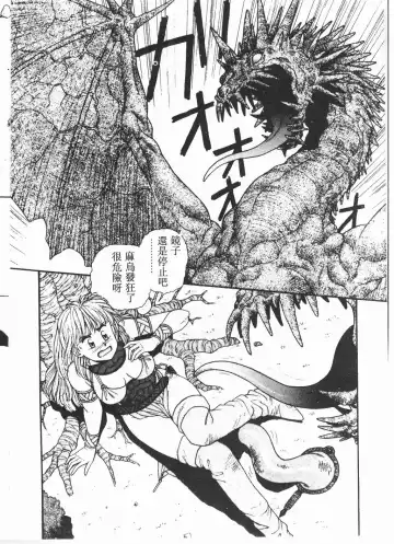 [Yui Toshiki] Princess Quest Saga Fhentai - Page 71