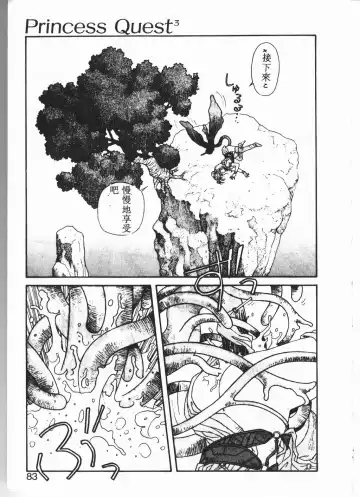 [Yui Toshiki] Princess Quest Saga Fhentai - Page 80