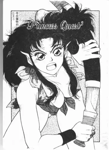 [Yui Toshiki] Princess Quest Saga Fhentai - Page 86