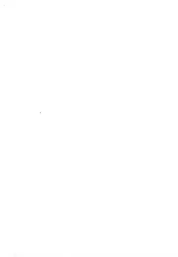 [Wasshi] Kono Ato Muchakucha ... Fhentai - Page 34