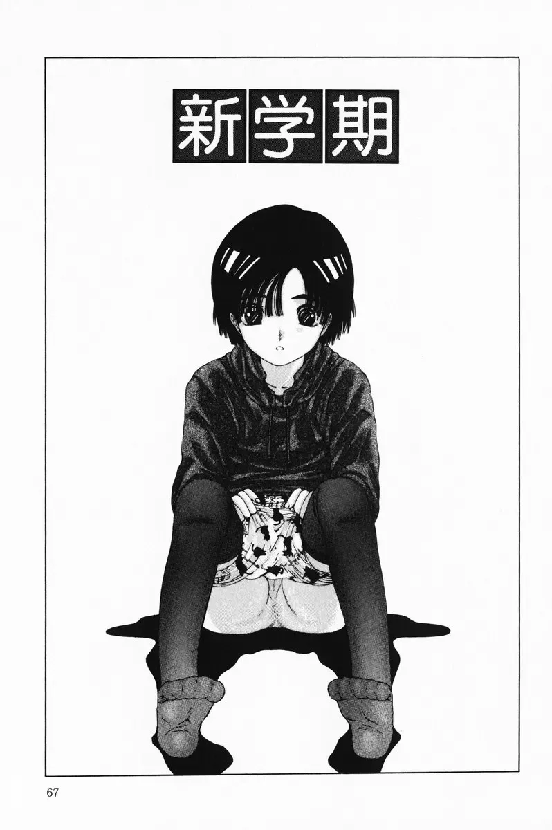 [Salad] Hecchara Fhentai - Page 67