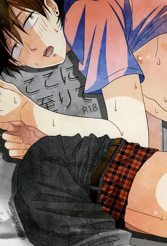 [Sui] Koko ni Itarite Fhentai - Page 1